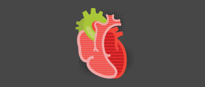 graphic of a human heart